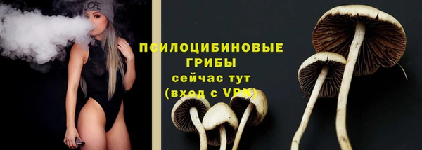 винт Арсеньев